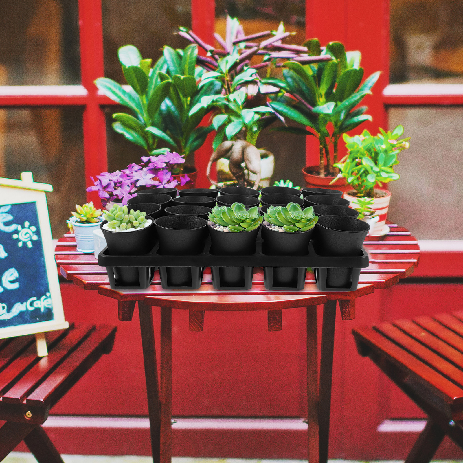 1 set Succulent Plant Pots 20  - Garden Storage Box ulasan dan harga